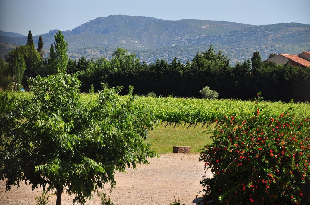 Chateau De Jonquieres - Herault Εξωτερικό φωτογραφία
